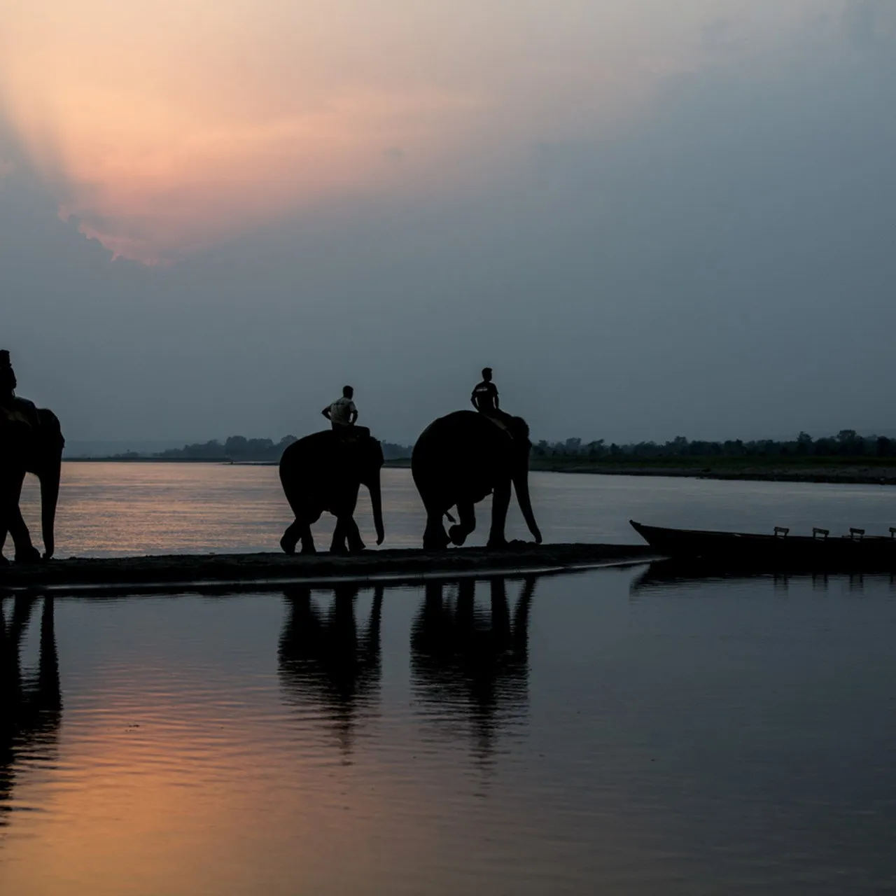 Chitwan National Park